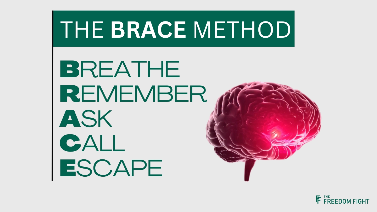 BRACE Method guide preview